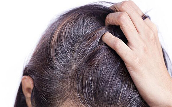 Giúp tóc đen tự nhiên với dầu gội phủ bạc