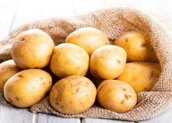 Cách thải độc cho da bằng những thực phẩm phổ biến