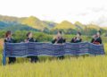Cô gái Mông mang du lịch về bản